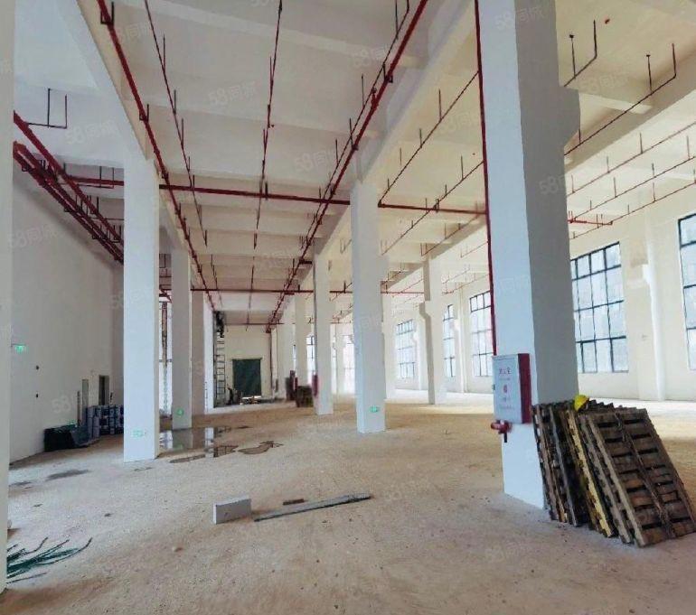 6元全新厂房出租，大小可分，原房东无公摊，不限行业