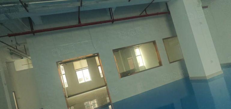 开发商6元仲恺潼湖楼上厂房6米高2000平方实际面积含管理费