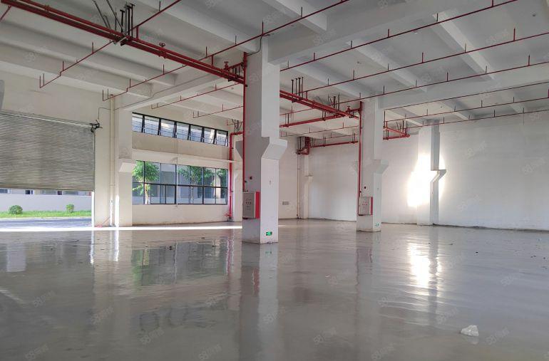 仲恺高新区陈江原房东直租低价可环评红本厂房牛角大小可分无公摊