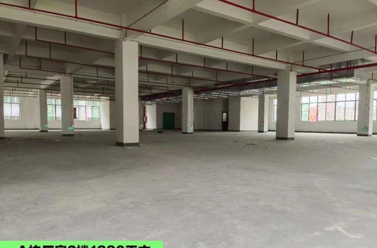 出租惠阳秋长白石客运站旁全新红本厂房，可分租，可办环评