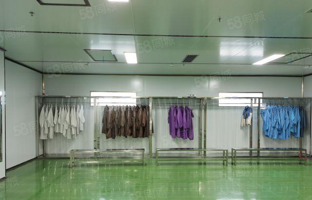 10元500平起原房东10000平厂房出租可以分租而且地段好