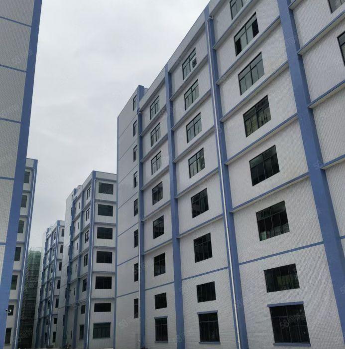 靓惠州龙门2千至2万厂房5元每平米招租