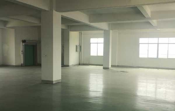 低价7元每平米500平起博罗龙溪独门独院厂房仓库出租一手房东