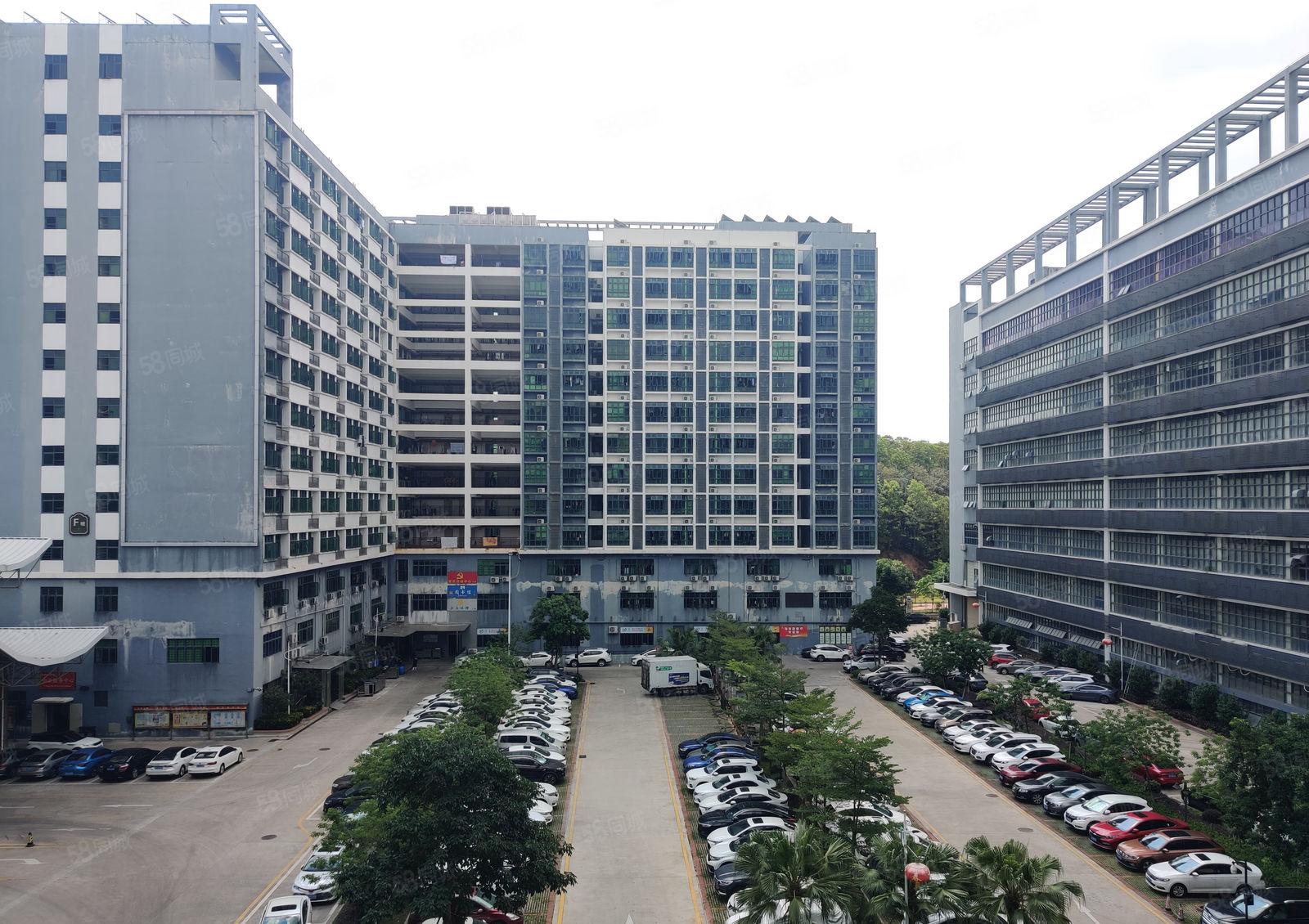 5元100平起租龙门永汉原房东无公摊2万平出租一楼仓库厂房