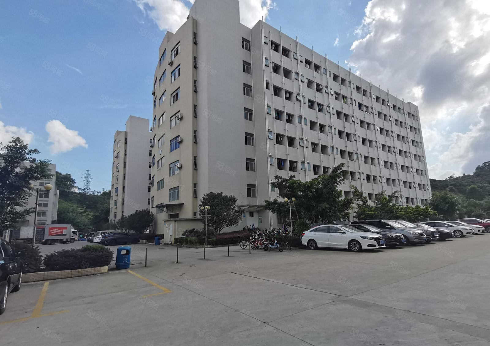 惠东龙门6元起原房东5万平厂房出租可办环评仓库一楼招租