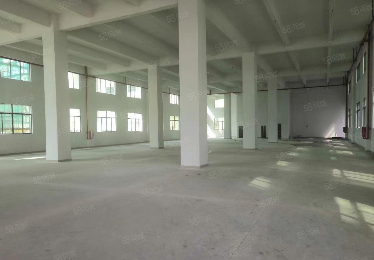 惠州龙门工业园10元起租1690平米（层）