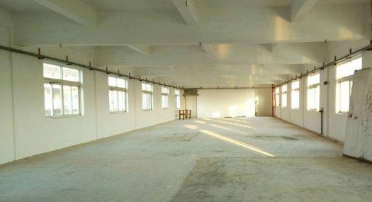 惠州博罗 广东省博罗县园洲镇20000㎡ 厂房租售配电600KVA 独院 可环评 可分租