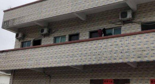 惠州仲恺独院砖墙到顶钢结构厂房总面积2100平证件齐低价出租