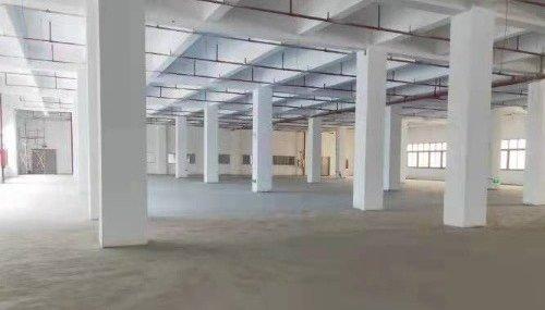 深圳大鹏100000㎡ 厂房租售层高6.5米 配电3000KVA 独院 可分租