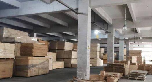 深圳盐田 北海道6000㎡ 厂房租售层高5.4米 独院 可分租