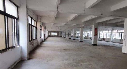 深圳大鹏2000㎡ 厂房租售 独院 可分租 价格10元一平