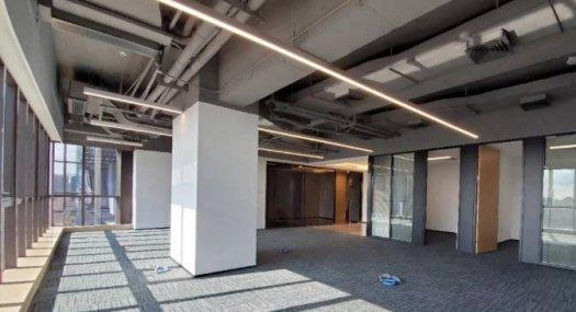 深圳龙岗 爱南路利好国际产业园300000㎡ 厂房租售层高4.2米 独院 可分租