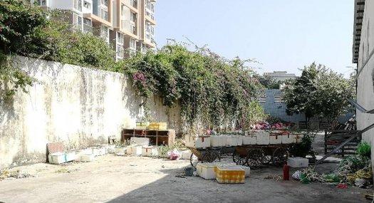 龙岗六约800平价格市场一半低公摊钢构