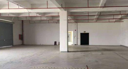 深圳宝安 松岗街道碧头地铁站附近850㎡ 厂房租售层高4米 配电315KVA