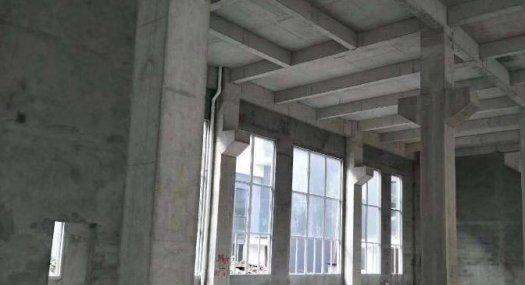 深圳南山 深圳转移产业中山板芙智能装备产业园3600㎡ 厂房出售层高4.2米 独院 可环评