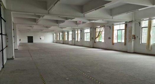 深圳盐田 北海道6000㎡ 厂房租售层高5.4米 独院 可分租