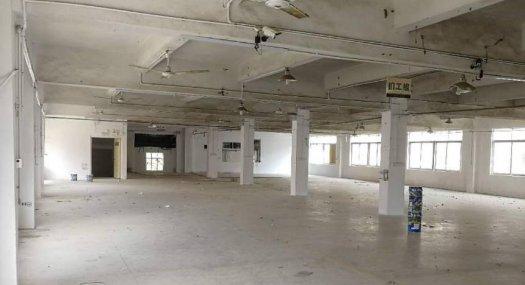 横岗安良4000平小独院17元带电梯消防齐全