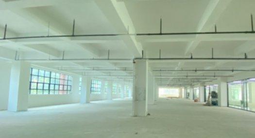 深圳南山 松柏路主干道边上2000㎡ 厂房租售层高3.8米 可分租