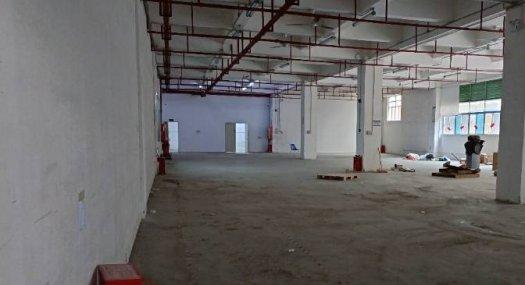 深圳宝安 兴东地铁站附近三层厂房租售 每层1204平可单层租