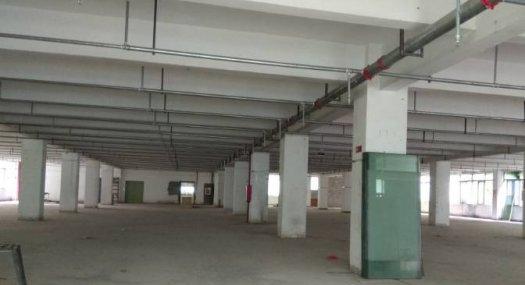 深圳南山 南海大道1800㎡ 厂房出租层高5米 独院 可分租仓储物流配送优选地