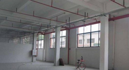 深圳龙岗 25000㎡ 厂房租售 独院 可环评 可分租