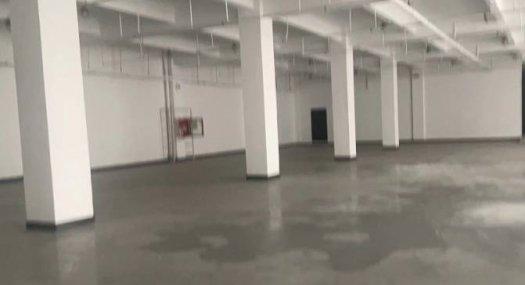 深圳盐田 保税区入口，楼栋首层，海山路地铁站旁边1433㎡ 砖混厂房出售层高4.8米 跨度56米 可环评