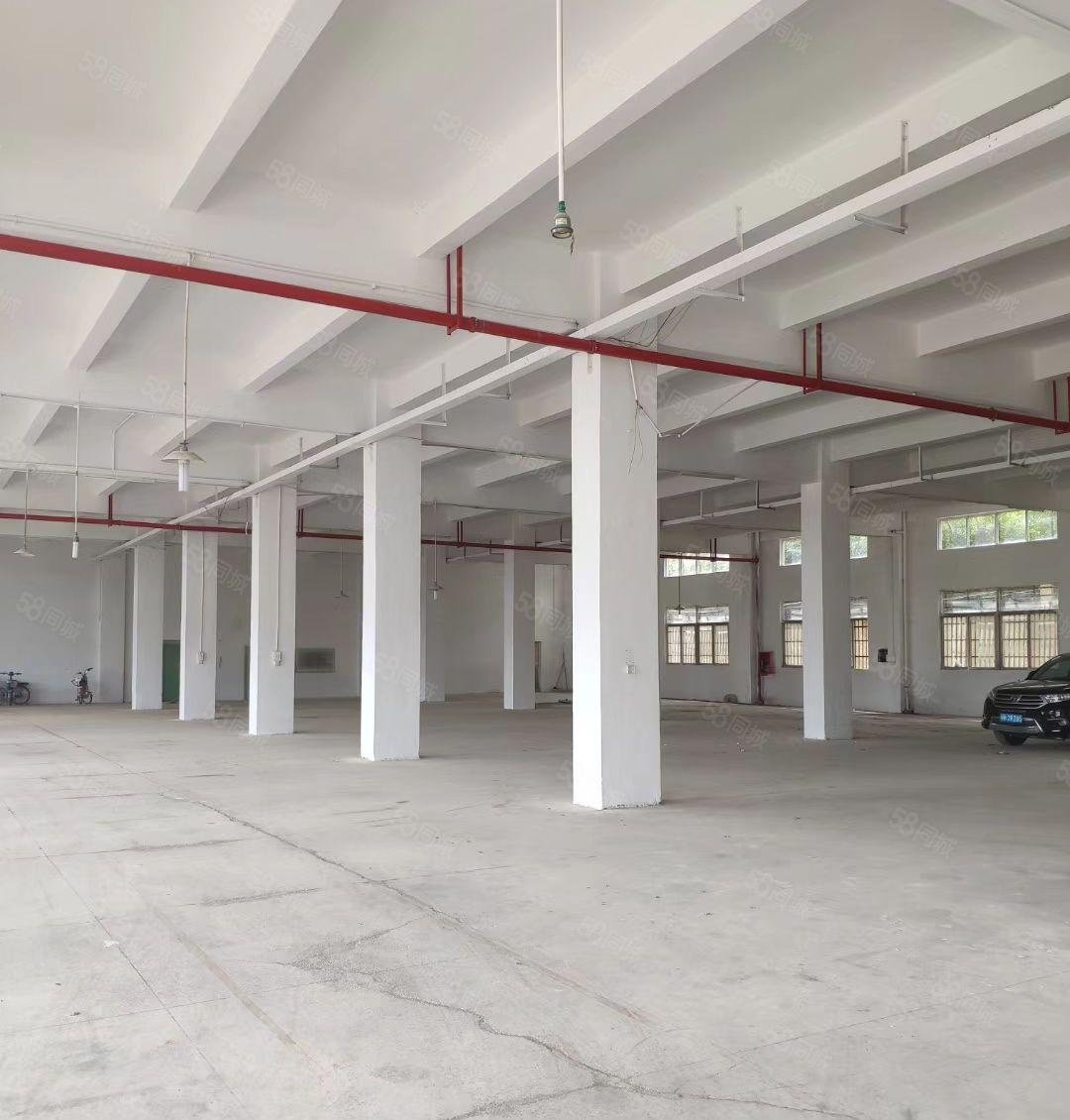 葵涌工业区10元起独院厂房4000平米出租，可分租