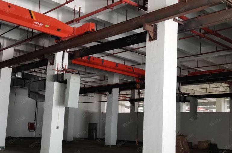 高7米大鹏新区布新路工业大道红本重工业2300平门前空地超大