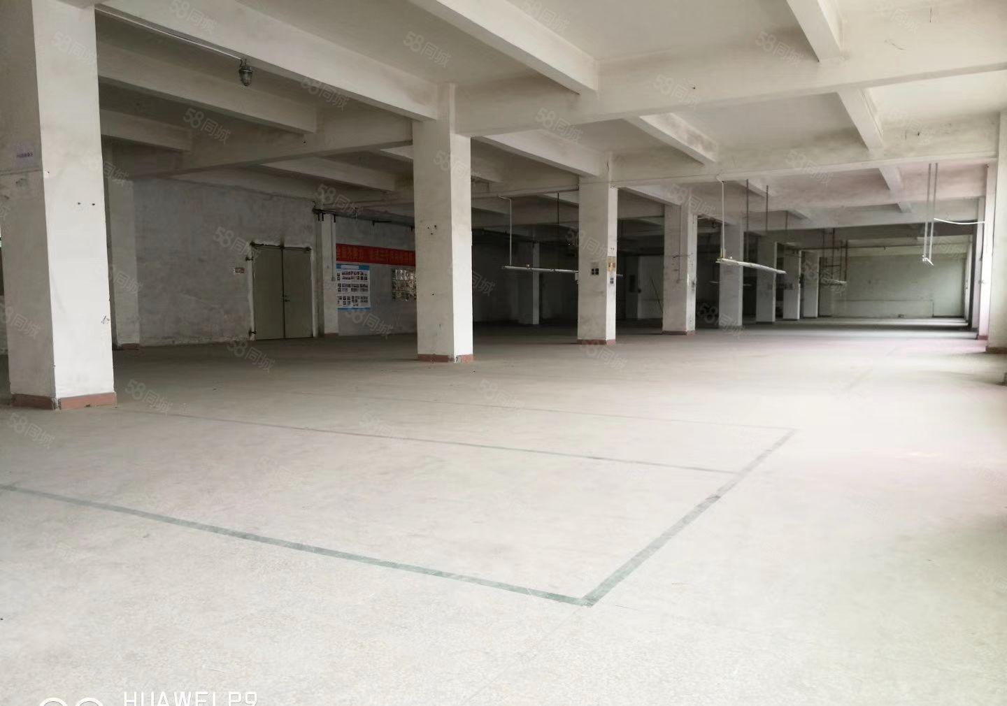 D 葵涌知己工业区10元起平米，仓库仓库10000平，