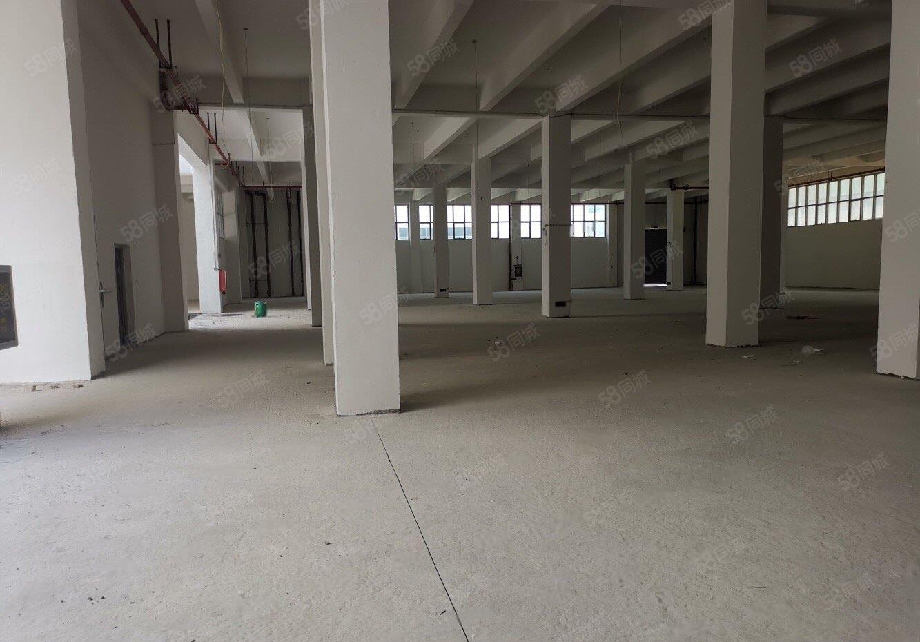 龙岗高速出口全新独栋厂房总面积3.33万平出租可整租可分租