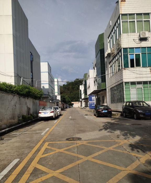 葵涌4000平方厂房仓库办公业主直租