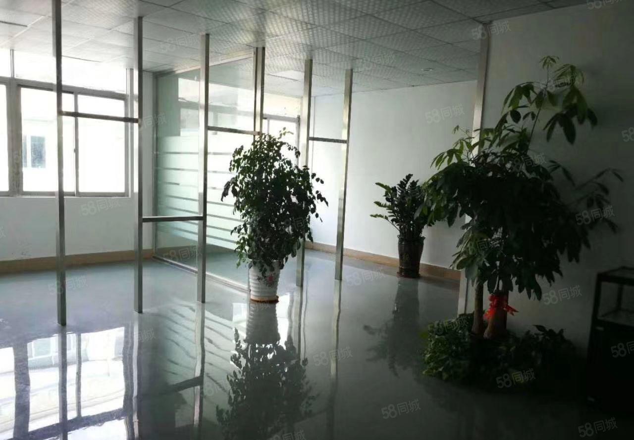 葵涌中心10元起独院厂房10000平，空地5000平，可分租