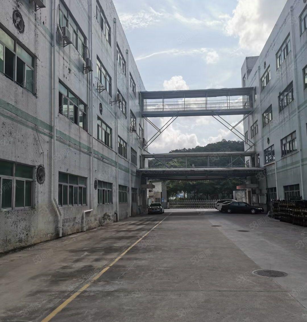 业主直租葵涌工业区独院厂房14层5200平，分租，