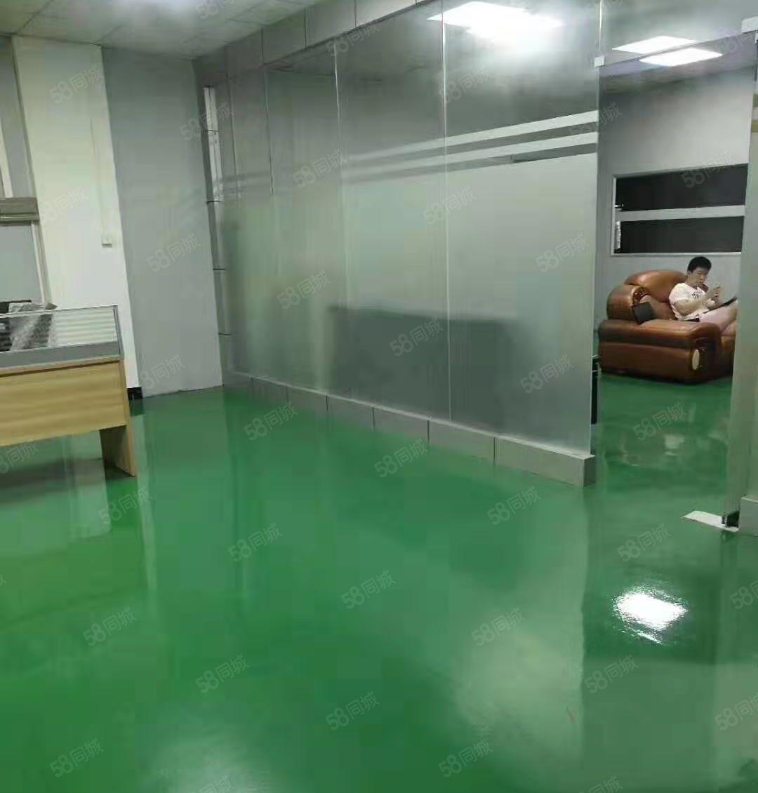 大鹏葵涌新出2100平米无尘车间出租1000平米起租