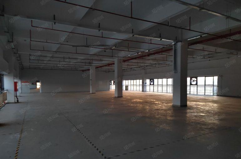 特价18元葵涌原房东独栋8000平厂房仓库出租2000平起租