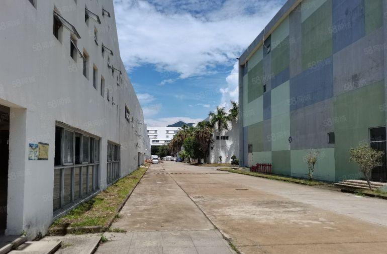 大鹏新区新出60000平钢构滴水11米，空地大货车可掉头，1