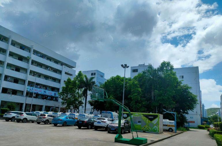 深圳市葵涌街道原房东红本独院厂房两栋共5万平，空地大，形象好