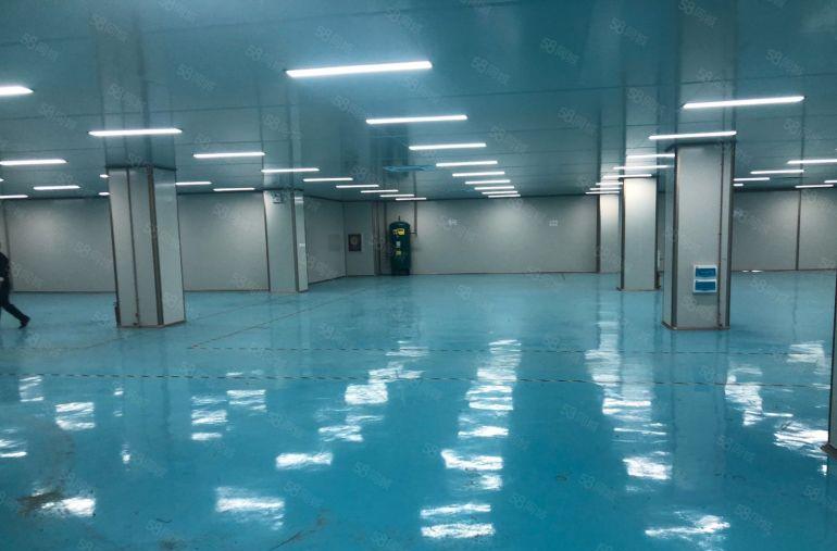 大鹏葵涌工业区原房东5000平10万级无尘车间免转让费可分租