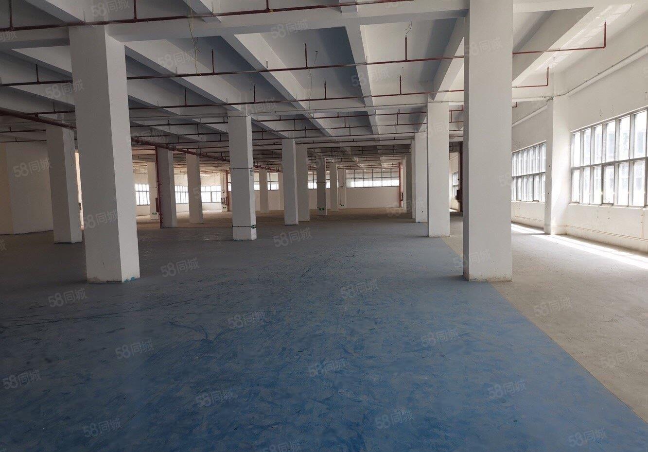 龙岗高速出口全新独栋厂房总面积3.33万平出租可整租可分租