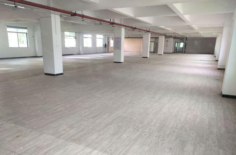 葵涌4200平方厂房仓库办公业主直租