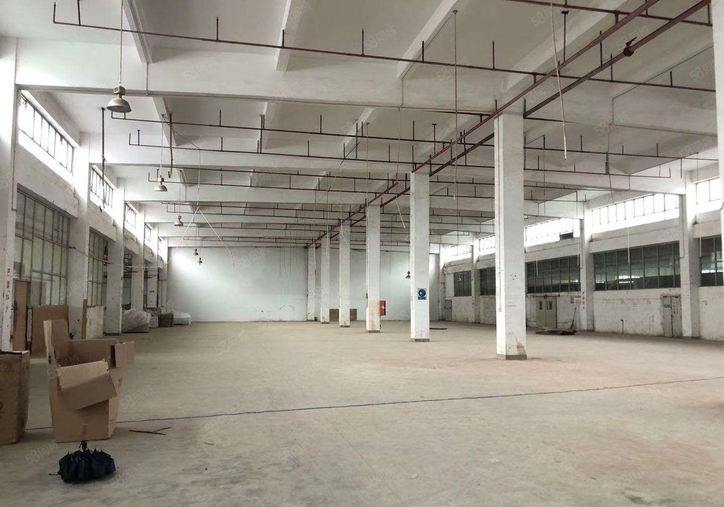 葵涌中心10元起独院厂房10000平，空地5000平，可分租