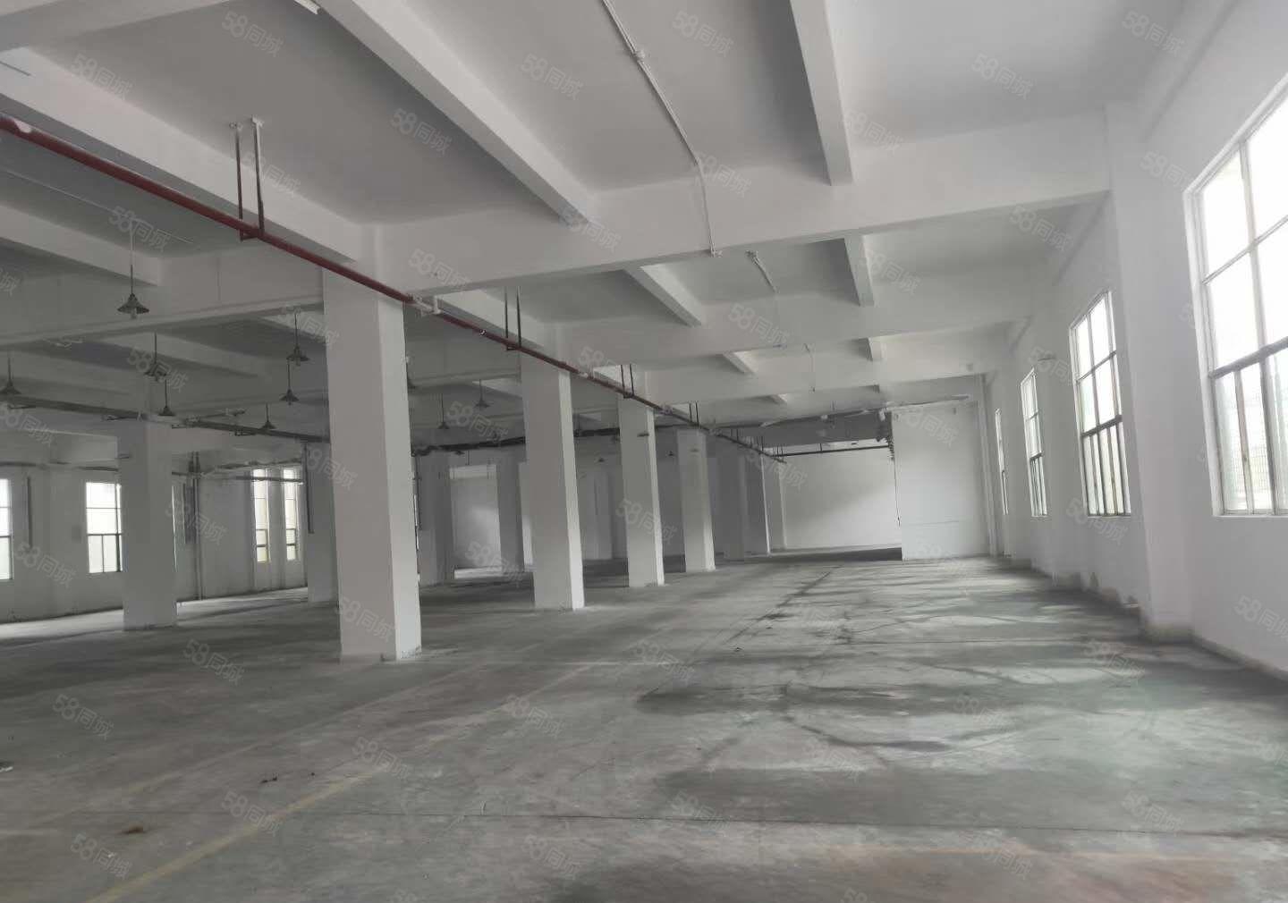 18元1000平起小独院隆重招商