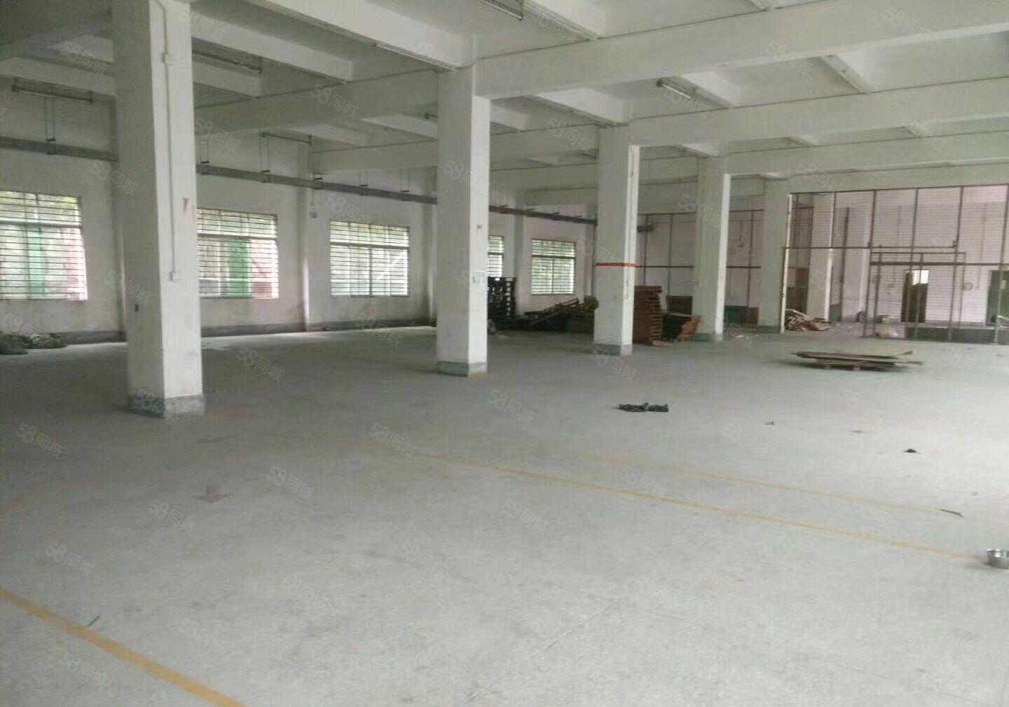 葵涌工业区10元起独院厂房4000平米出租，可分租