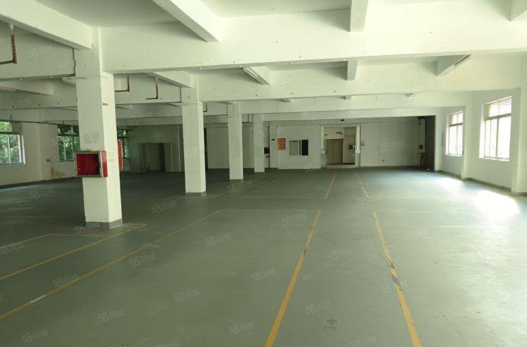 南城中心区周边  厂房出租有300平方500平方2800平方