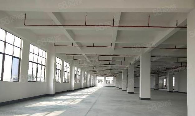南城 蛤地 独院厂房 分租整层2000平方.现成装修