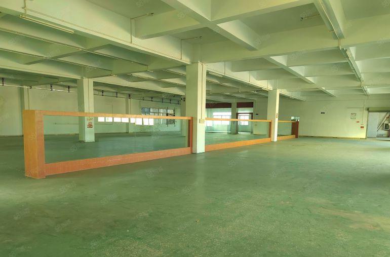 温塘厂房出租  每层1350平方 1到3层   8元起租