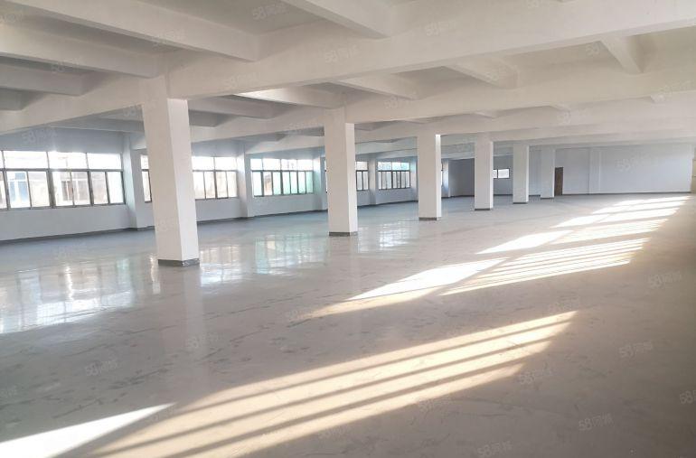 东城上桥  独院全新厂房 5400平方 也可以按层分租