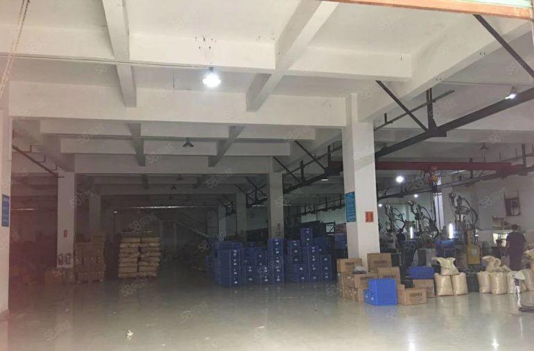 东城牛山 自用 厂房出租 一楼 800平方,面积足够 无公摊