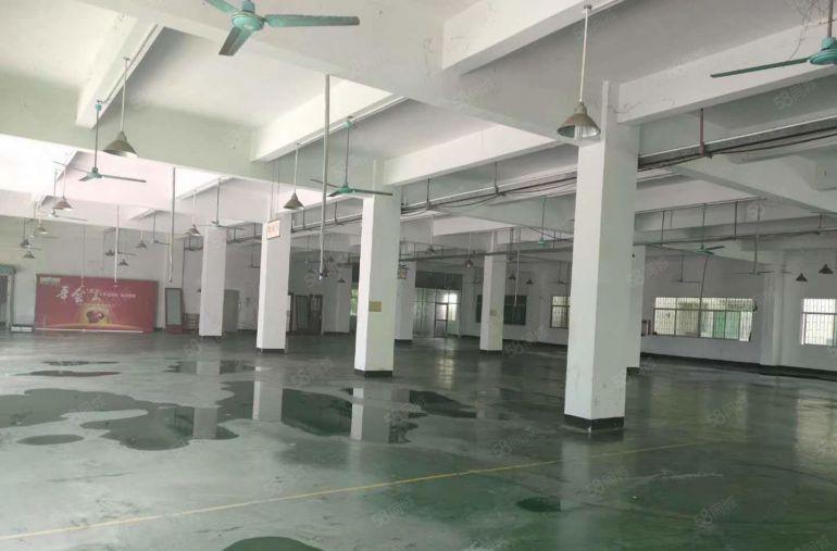 厂房出租！东城柏洲边一楼厂房710平，可做水果生鲜配送，仓库