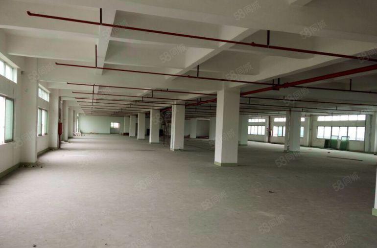 东城 原房东 独院厂房 出租3000平方,九成新租金便宜